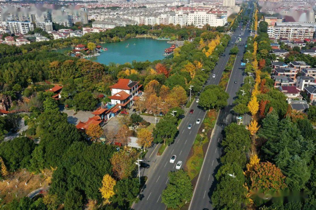 航拍港城港城大道一片金黄