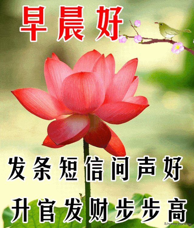 早上好问候美图,早安问候语句.