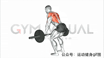 健身篇23张肌肉动图谱告诉你全套背部肌肉怎么练