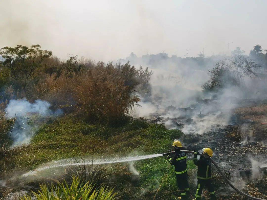 河源发生多起草地火灾冬季干燥请一定要记住这些