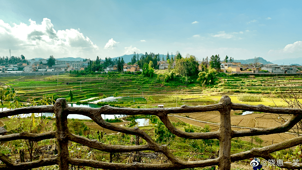 打卡最美银杏村,逛边陲小镇…这处"极边第一城"要火了