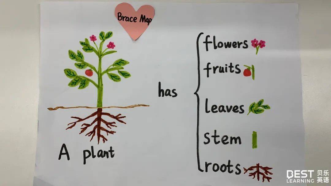 "flow map"5,flow map:弄清先后顺序在贝乐的课堂中,应用"flow map"
