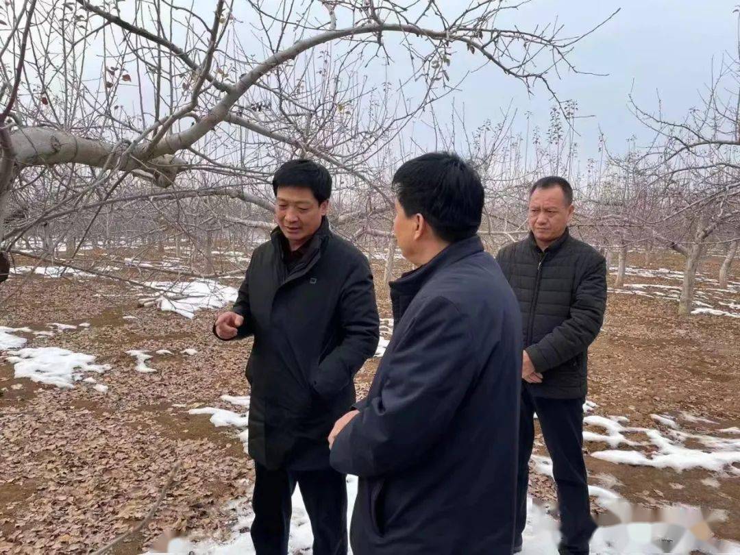 白宗奇检查延长县秋冬农业农村工作_手机搜狐网