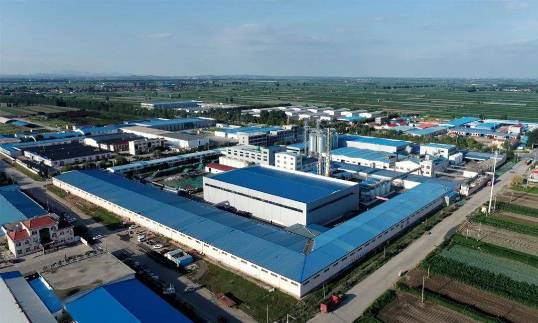 内外贸并进 畅通双循环,青岛天祥食品集团拓全球市场保持高速增长