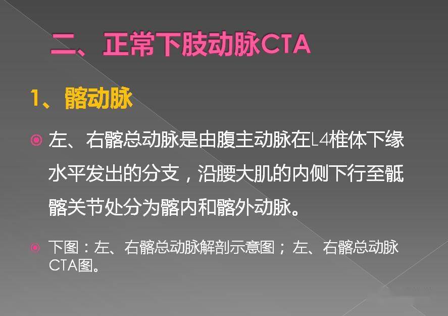 内侧动脉,膎动脉,膝下内侧动脉,胫后动脉,颈前动脉,旋股外侧动脉降支