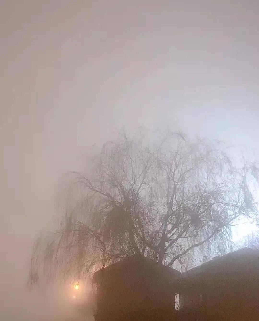 出门"雾"必小心!