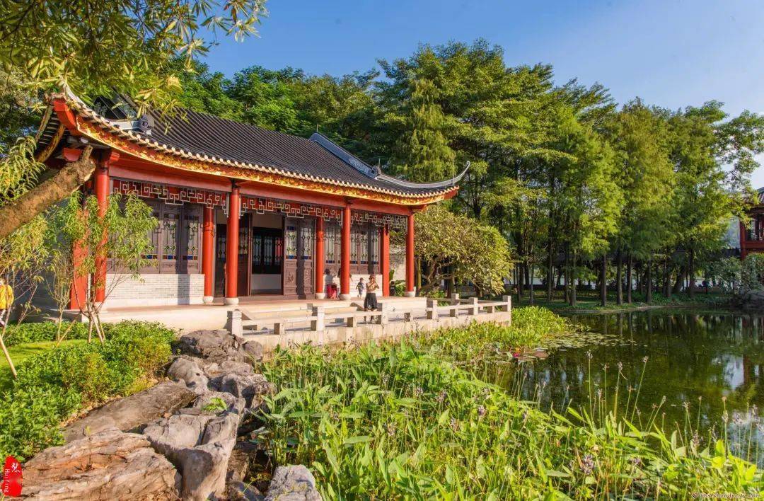 顺峰山公园里那么美的汀芷园原来也有一段黑历史