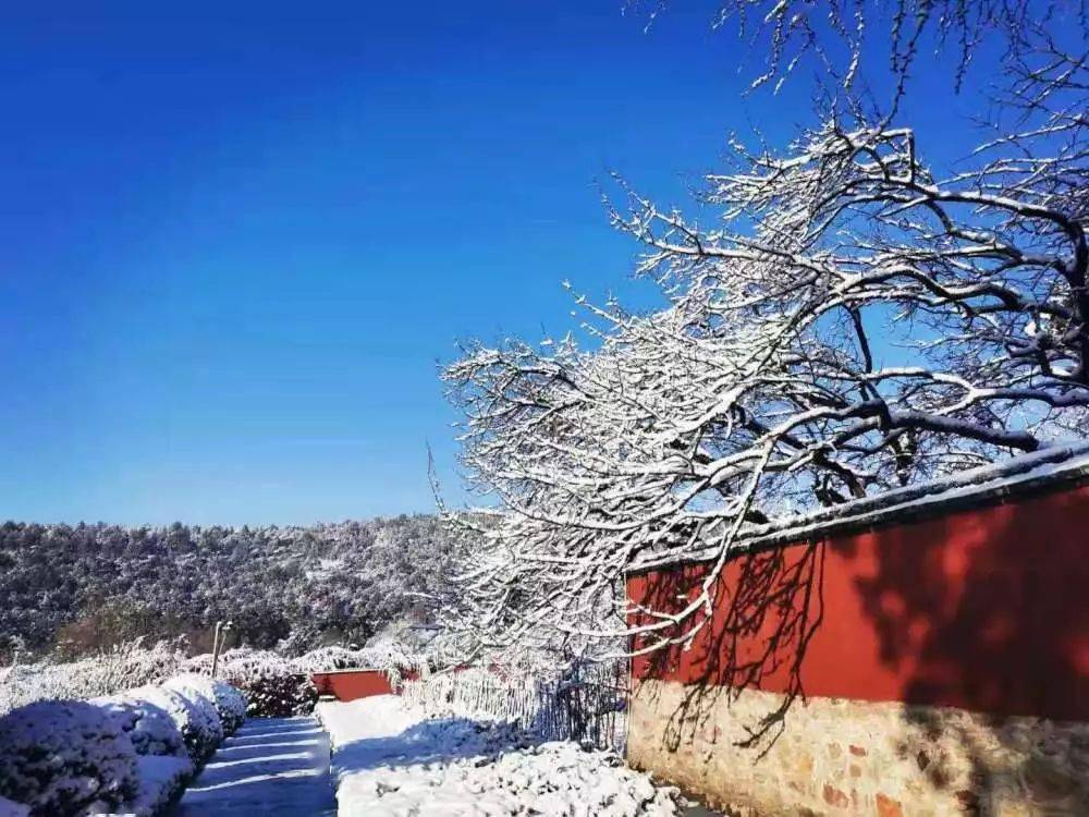 日照下雪了这几个地方美得不像话
