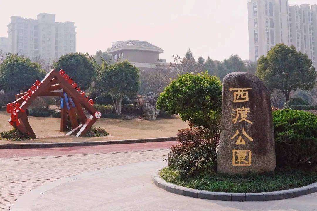 5年来,针对西渡公园,临江园,五宅小游园,渡口公园,水帘洞公园等多处