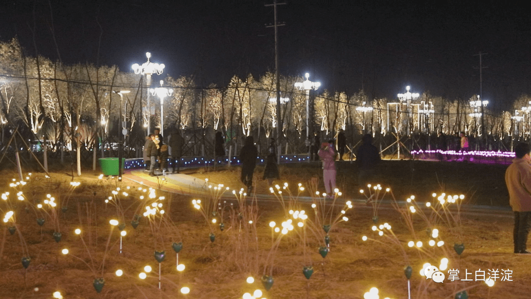 遇见安新网红打卡地你去过了吗