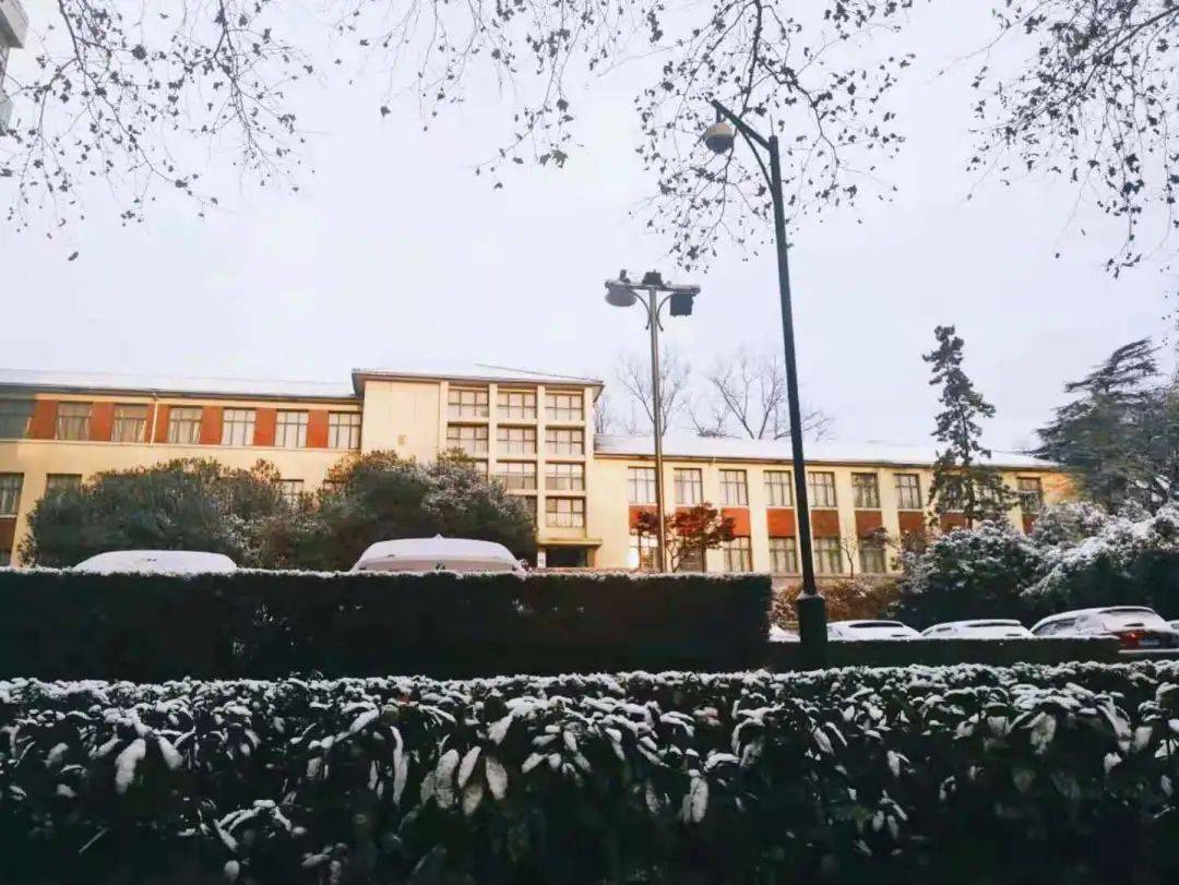逸事可做冬月雪落古人也是爱下雪的图源 | 王科伟图源 | 顾欣怡图源