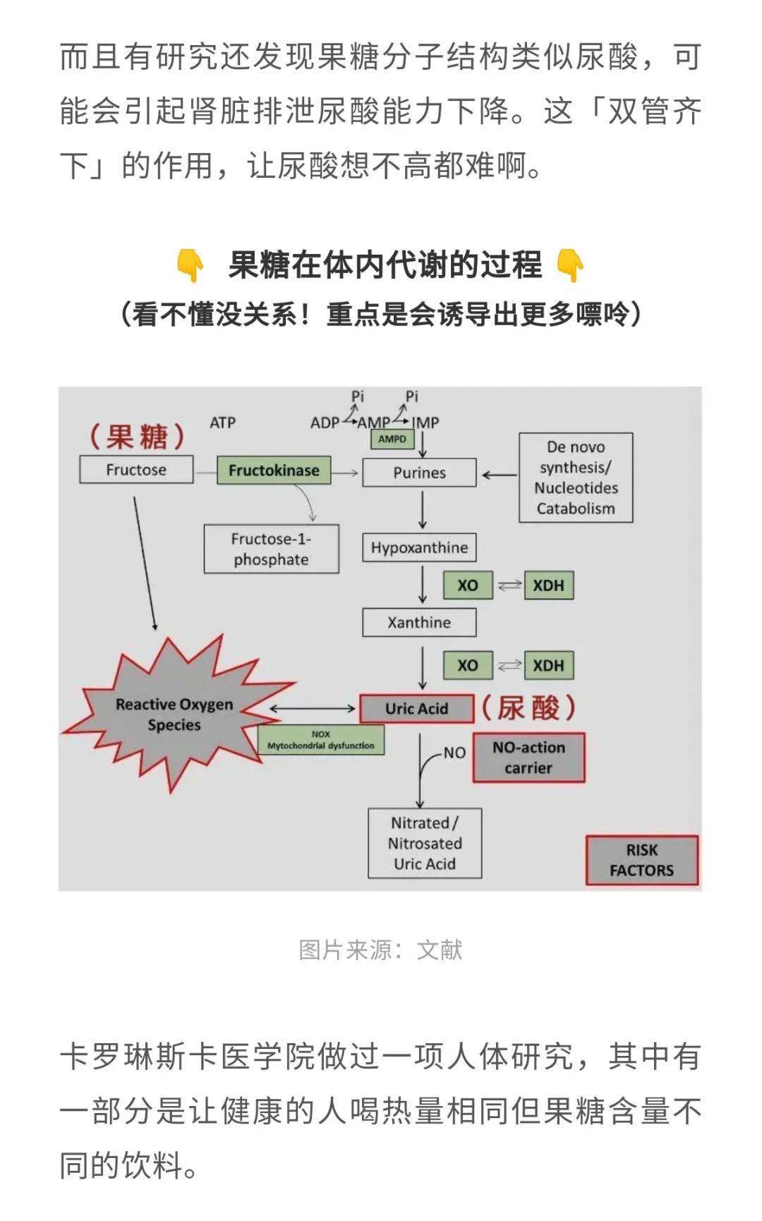 一种你爱吃的东西正在偷偷升高你的尿酸