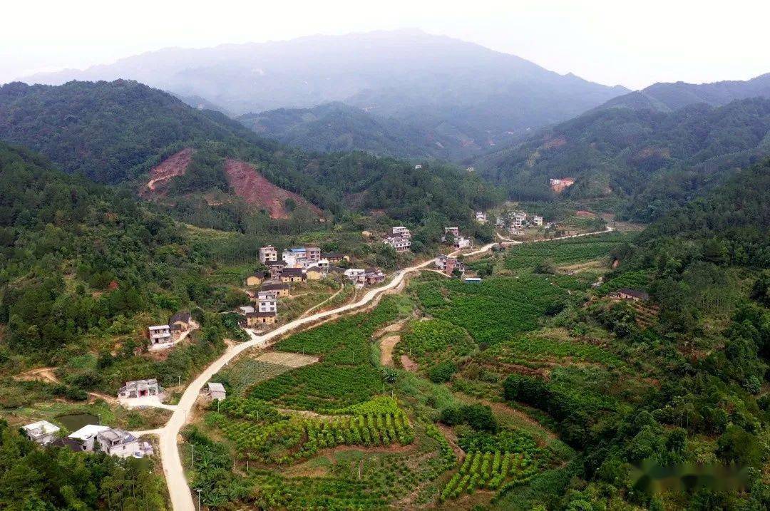 找到脱贫致富的"金钥匙",群众摆脱了贫困,五将镇仁德村真给力!