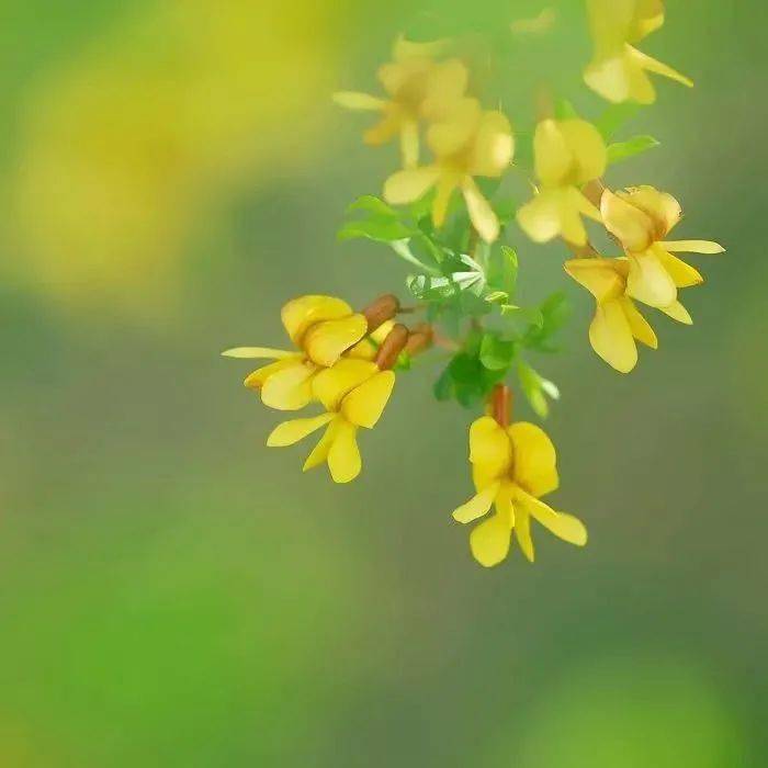 将心比心方得舒心