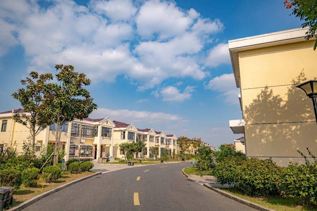 厉害奉城镇盐行村入围2019年度上海市农村社区建设试点示范村