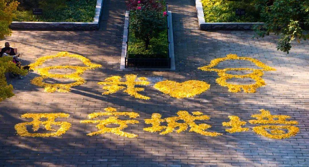 用银杏叶作画写字,表白西安城墙_造型