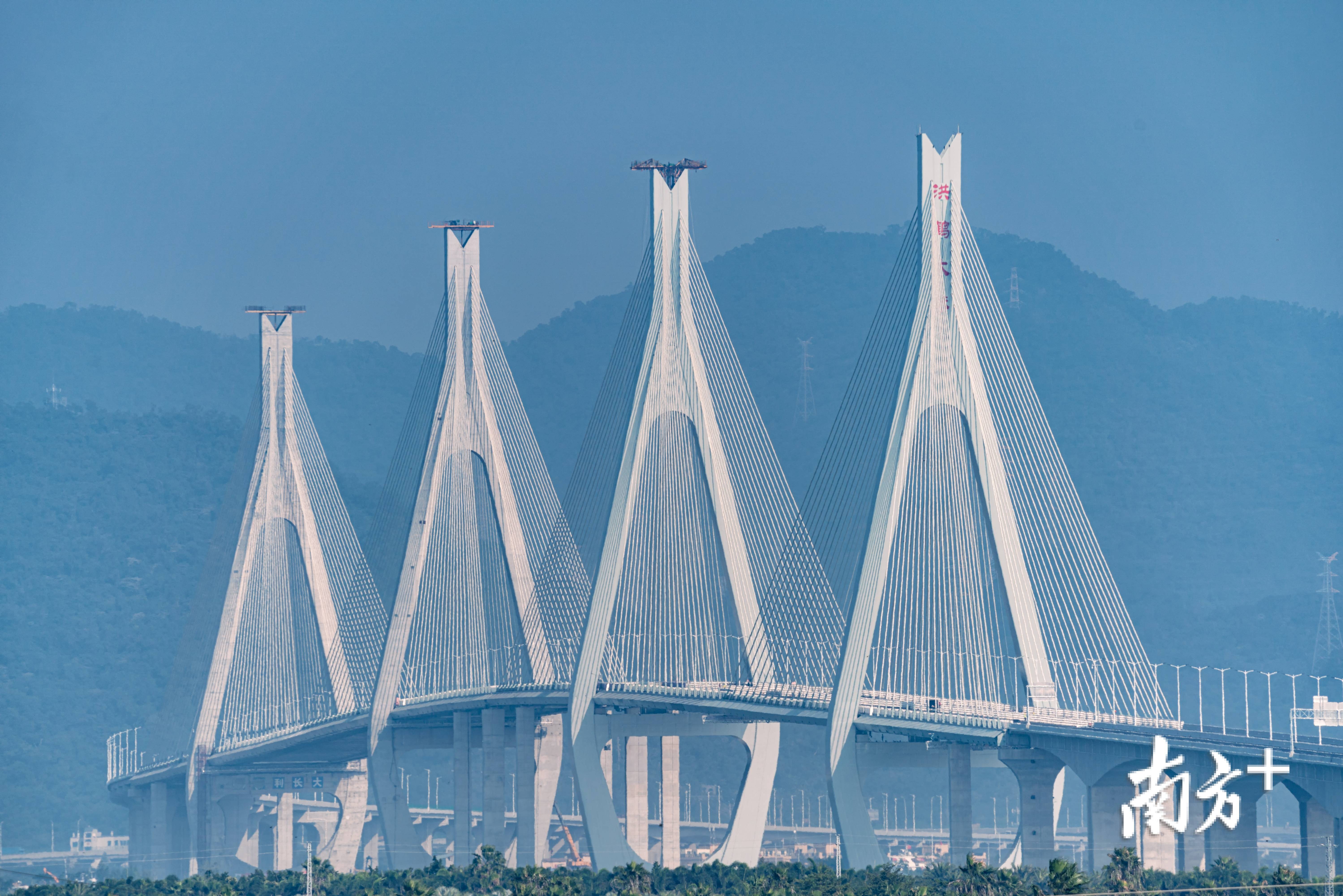新造珠江特大桥图片