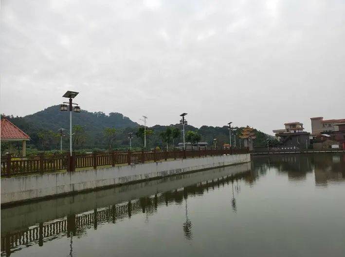 文明示范村|蛟塘镇洞口村:以传统文化沉淀村镇,以产业振兴人居环境