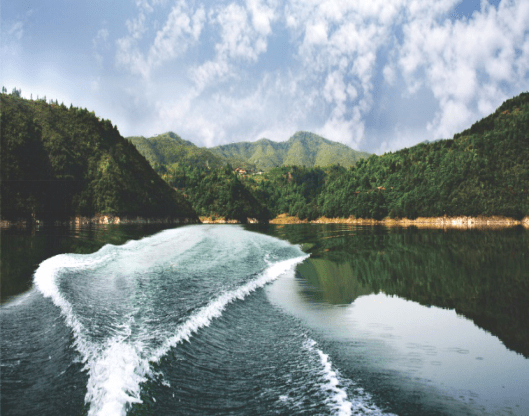 "保护珊溪水源,呵护你我健康" 请为市珊溪水利枢纽管理中心点赞