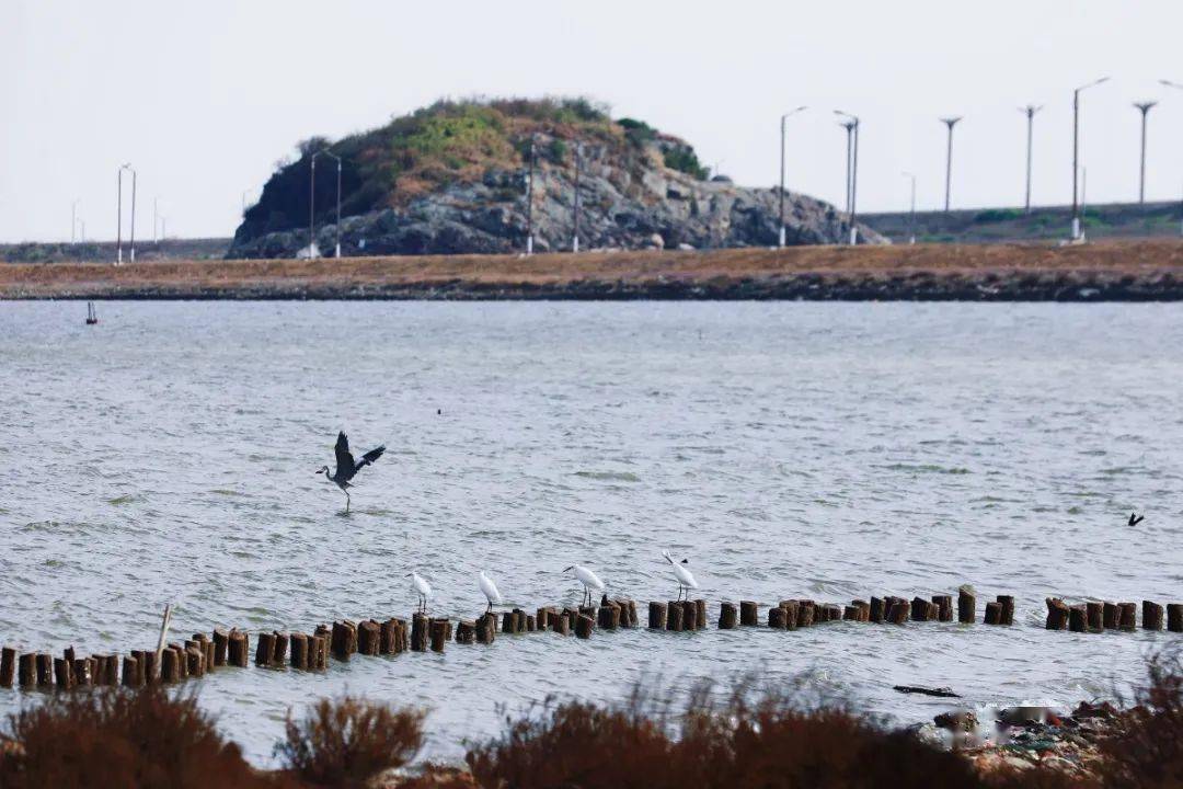白沙湾人工沙滩临海即将多一个网红打卡地