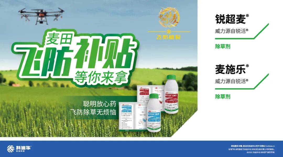 炔草酯在防除小麦禾本科杂草上发挥了重要作用……炔草酯是瑞士先正达