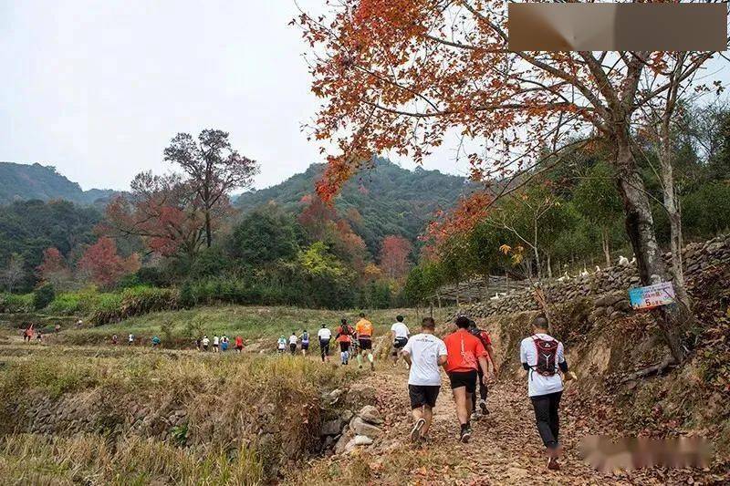 南平市第二届云谷山越野赛在建阳区将口镇举行