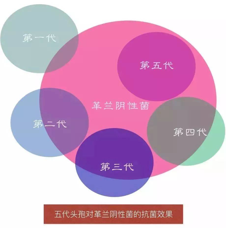 头孢类抗生素的抗菌特点