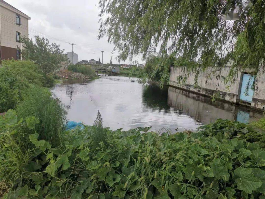 前整改后 新 湖 村新湖村位于太仓市双凤镇新湖管理区,东濒吴塘河