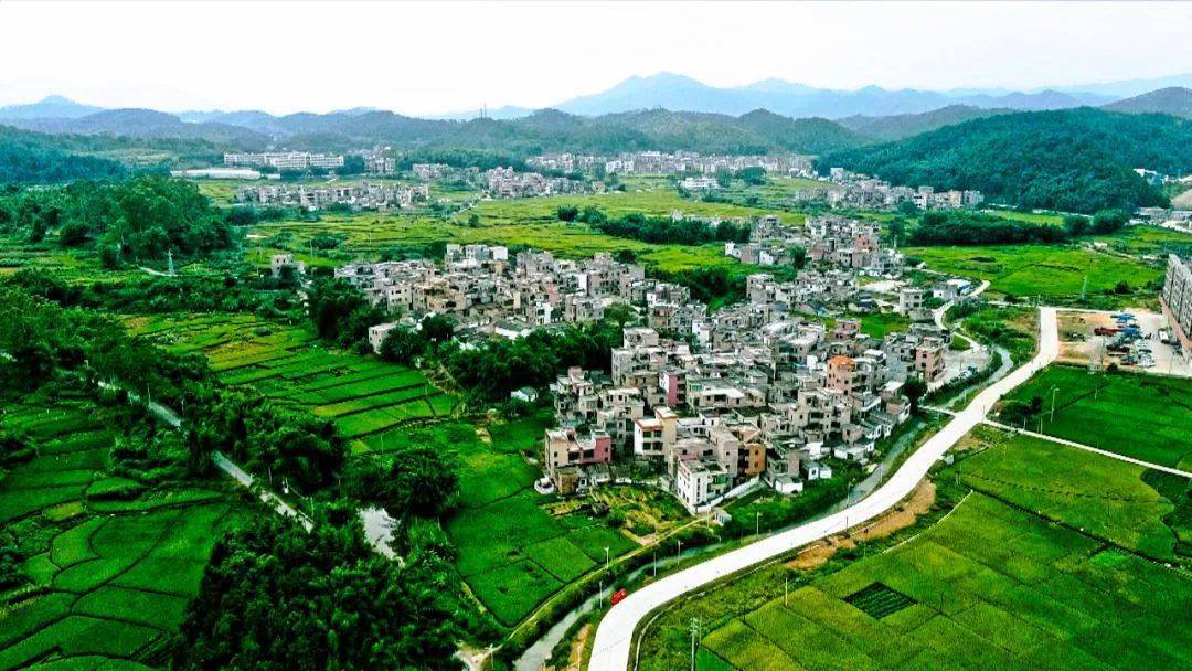 提前超额完成全年税收任务广宁这个镇这样做