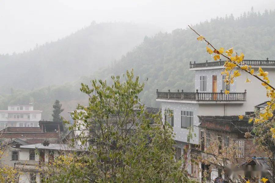 【乡镇动态】西山瑶族乡积极做好抗雨雪冰冻工作_手机搜狐网