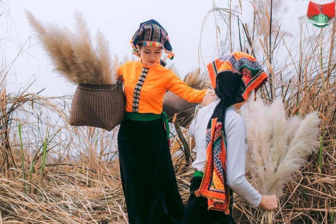 越南老街省白傣美图