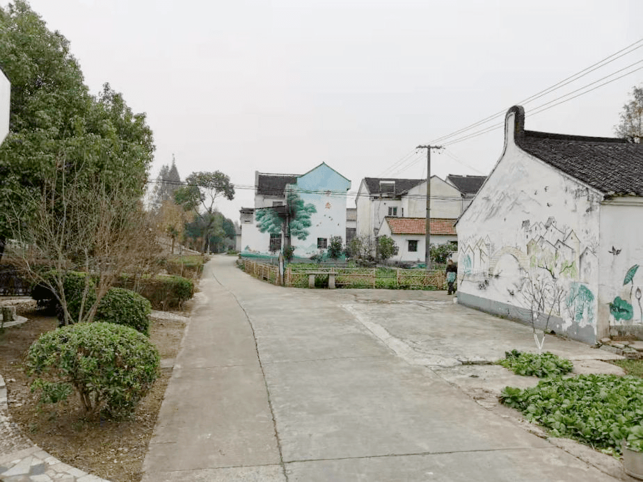 青浦区村容环境示范村的高"颜值秀,请您来评审_香花桥街道