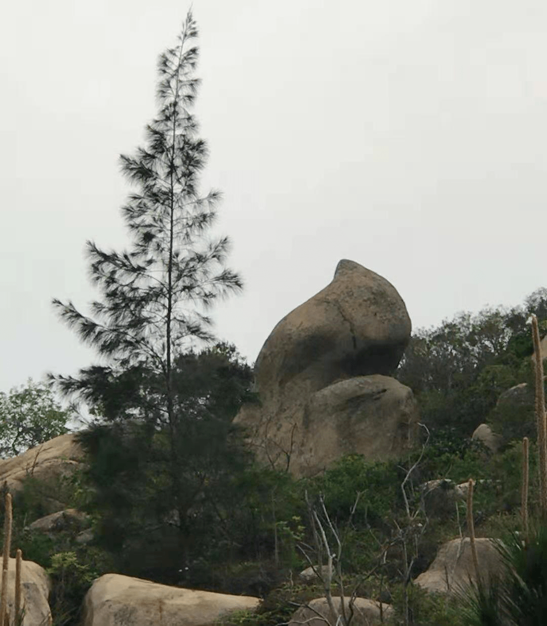 【奇观】奇石"典故"刷新知-搜狐大视野-搜狐新闻