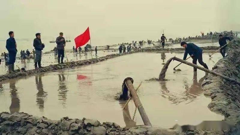 海涂九一丘围垦记忆
