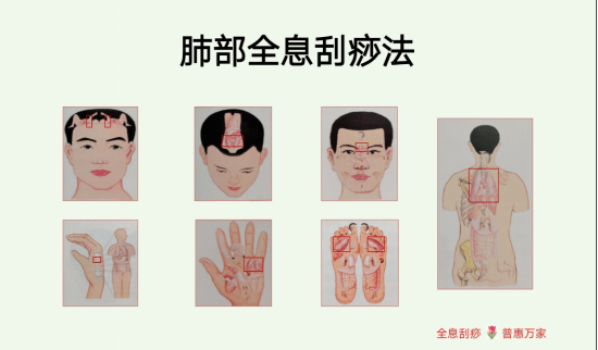 预防新冠我有招 全息刮痧解烦忧