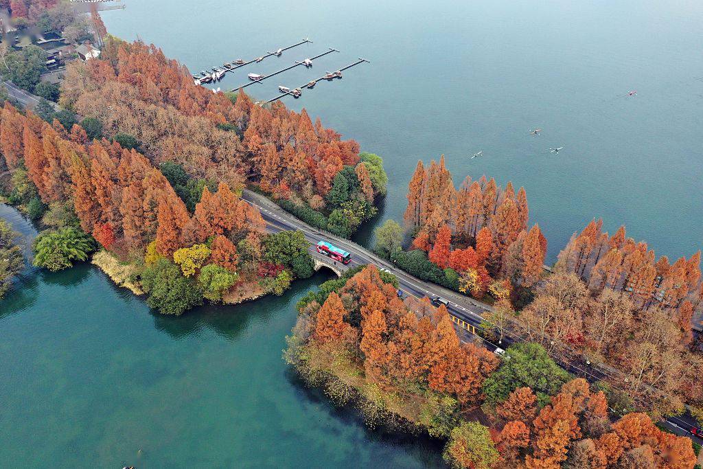 暖阳照耀西湖 冬日风景迷人_杨公堤