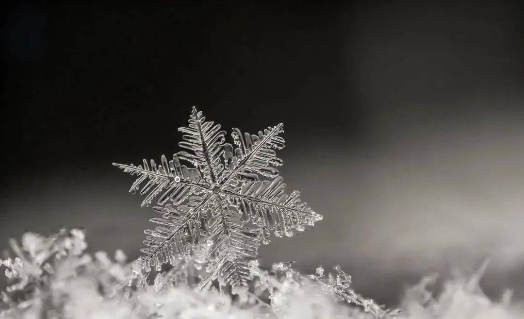 格玉汉江诗歌我与雪的距离