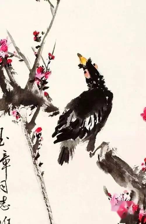 王雪涛画八哥精彩极啦