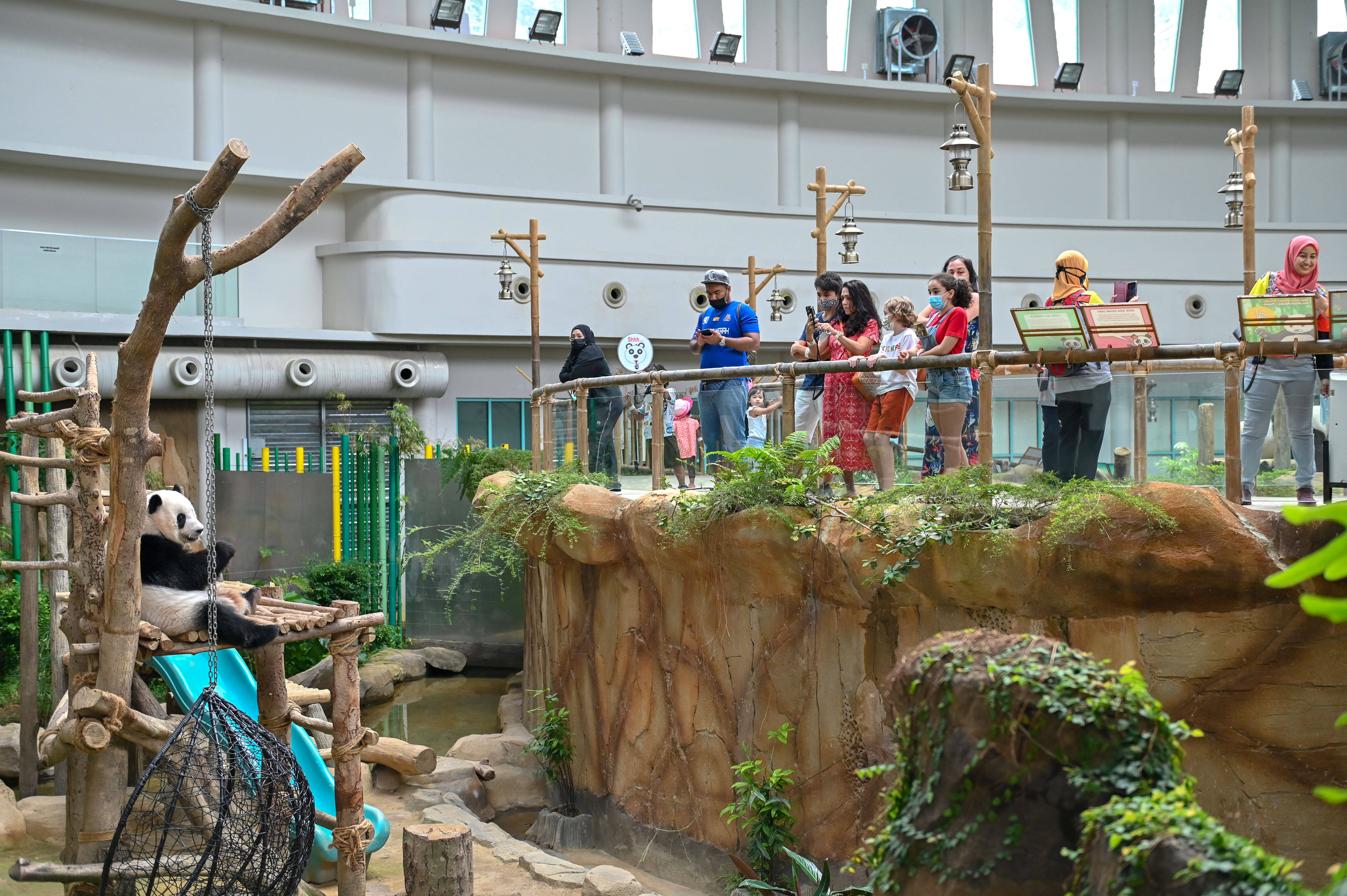 馬來西亞國家動物園重新開放 國際 第8張