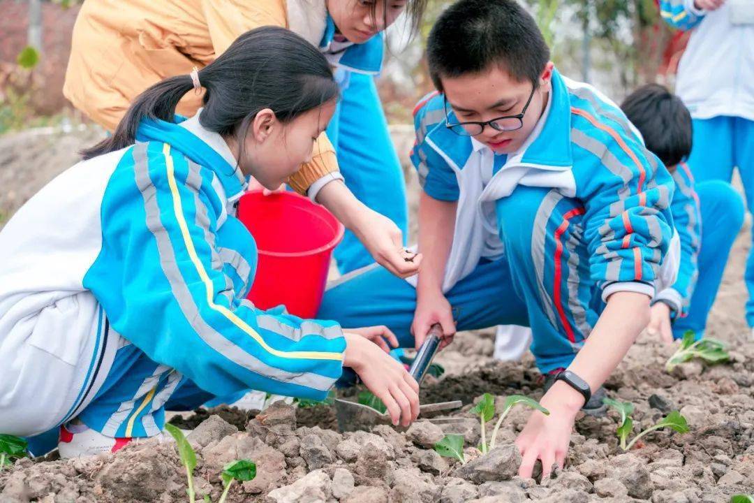 松湖实中研学课程体验式劳动研学让成长自然发生