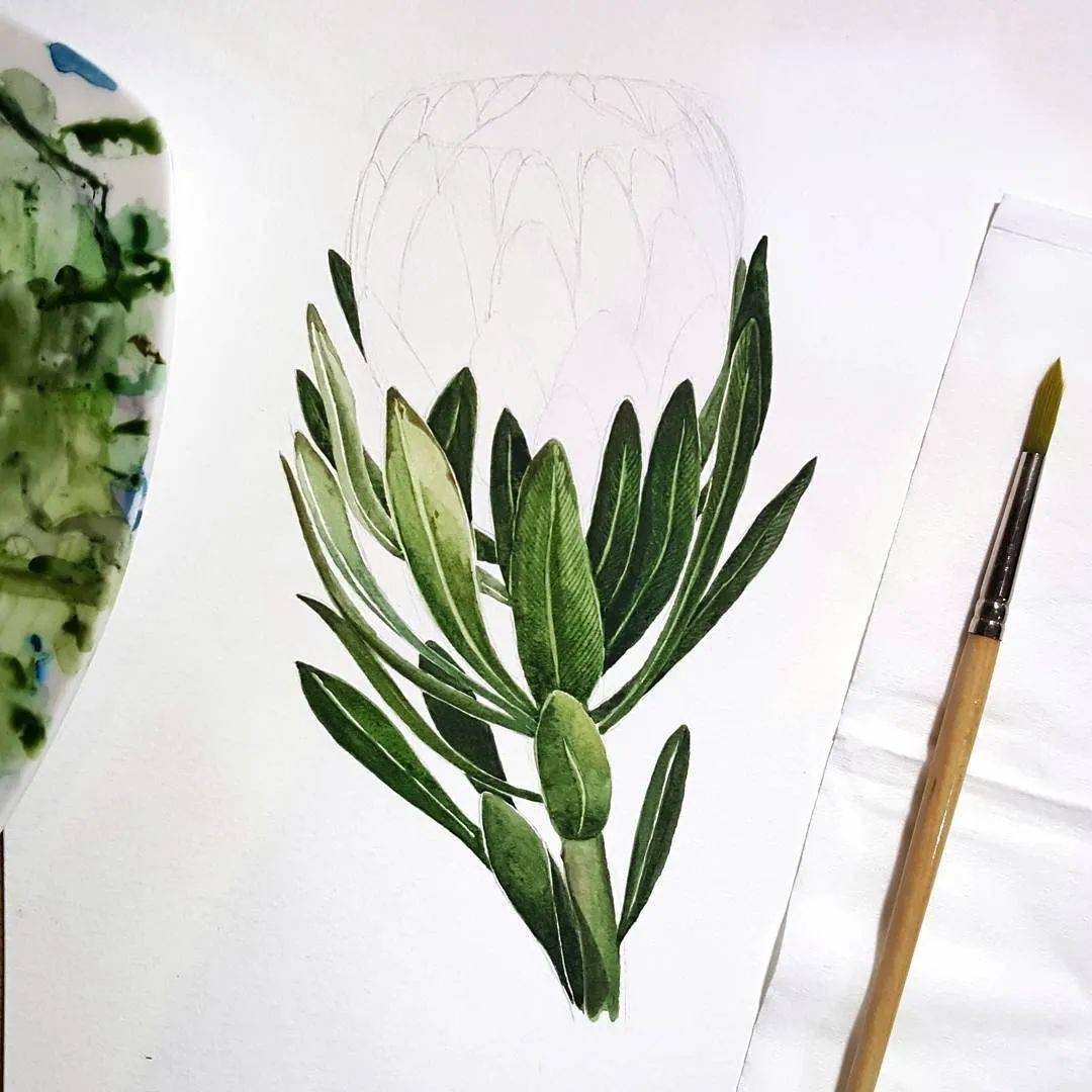 他山之石·艺‖ 超级好看的单色调水彩画,很暖心,怎么都看不腻!