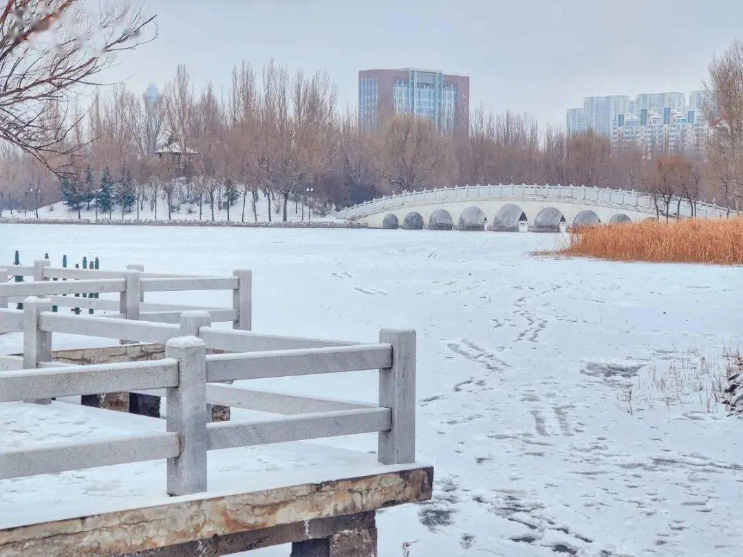 龙江高校雪景联动八一农大百湖油城虽遇寒冬温暖依在