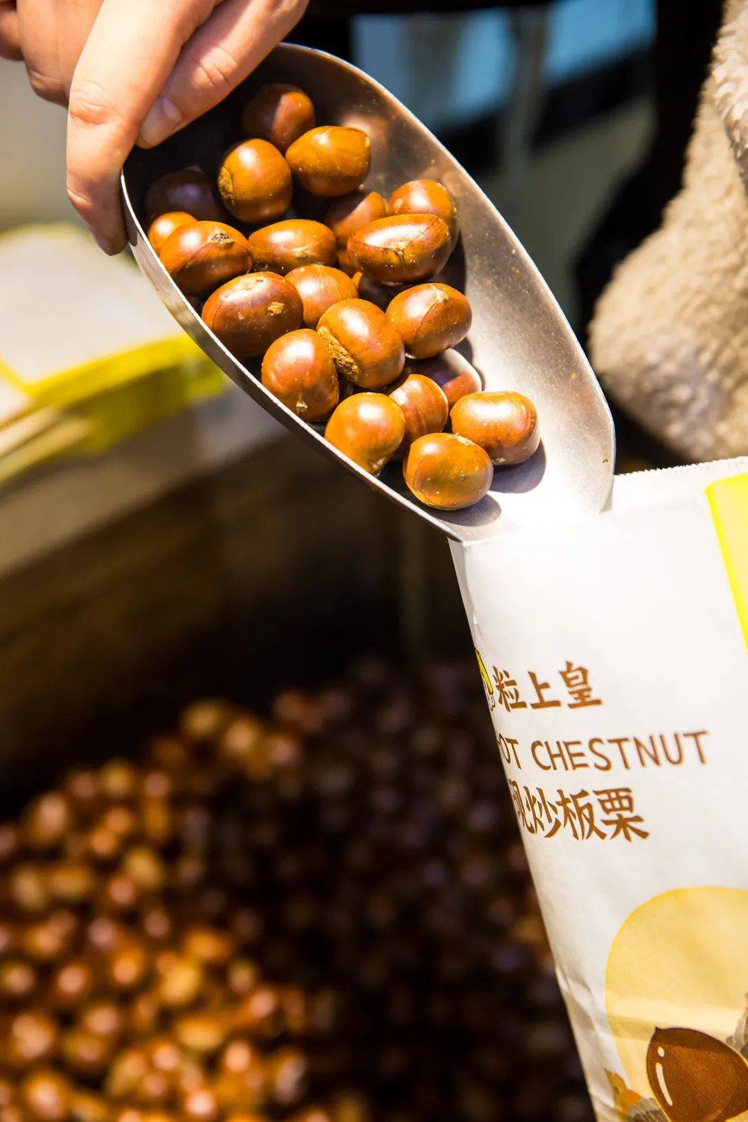 『粒上皇』请全成都人吃现炒板栗啦!