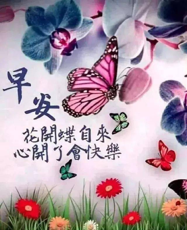 12月非常漂亮的早上好表情圖片帶字,好看的早安圖片問候語