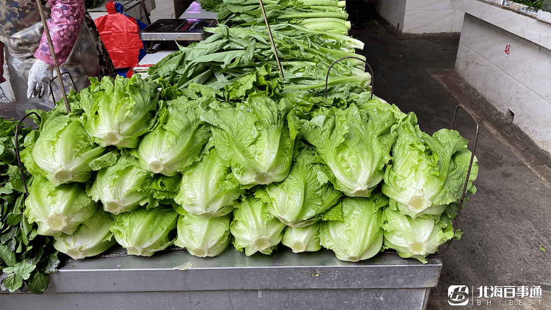 其中,蔬菜种类以生菜,西洋菜,娃娃菜,火筒菜,萝卜,南豆等为多.