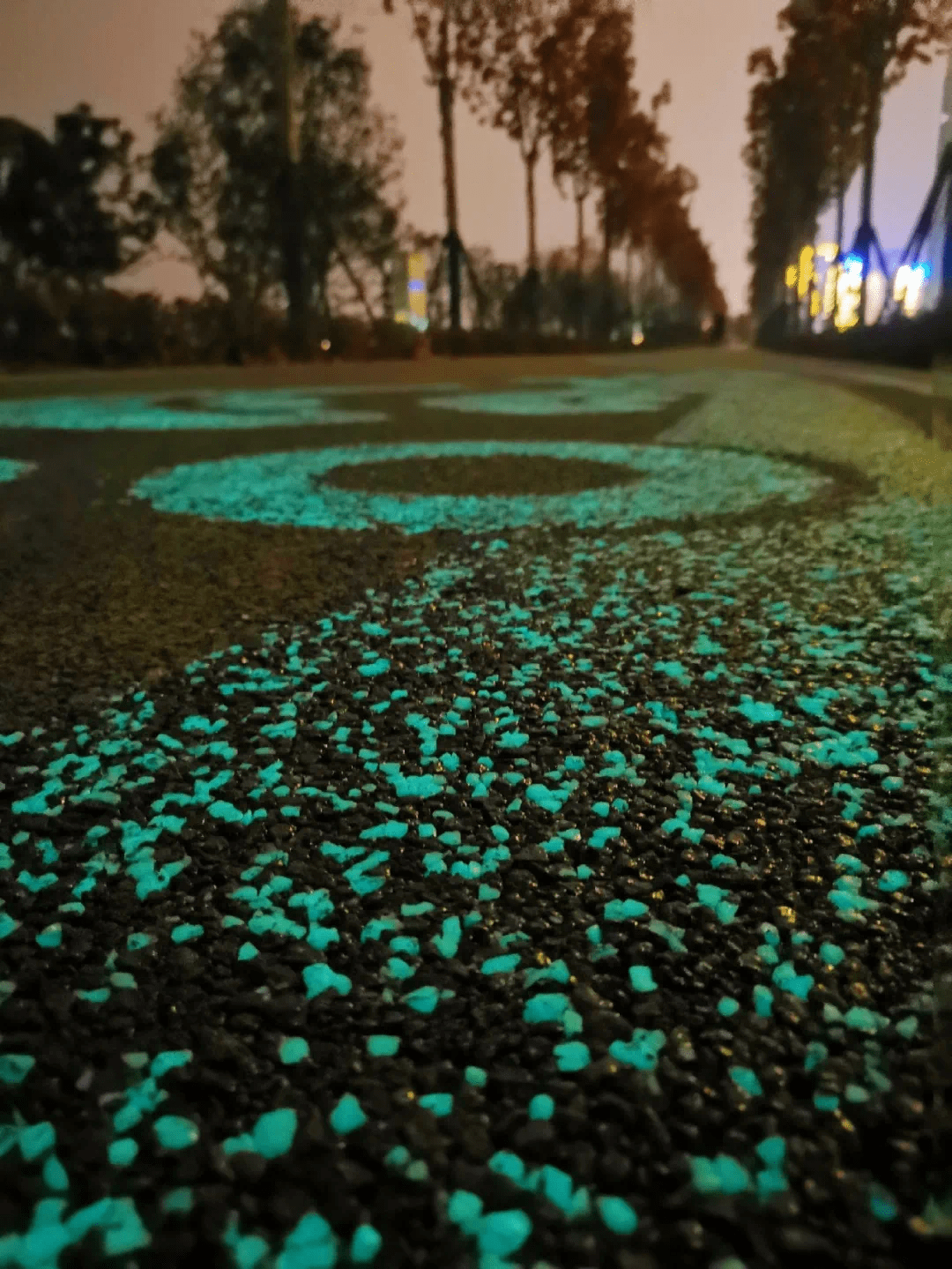 宜昌城区首条荧光步道来啦位于白沙路至柏临河入江口段