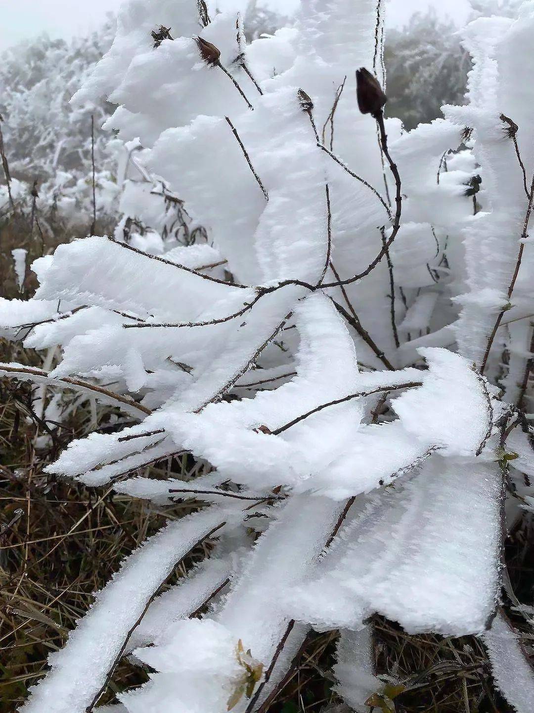 曲靖多地下雪了最冷的地方已零下十几度