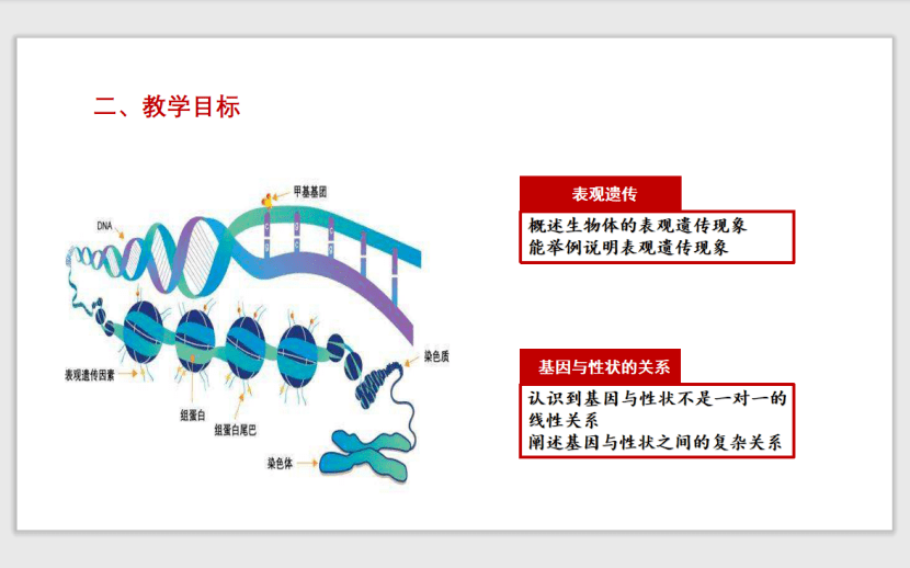 林陈基因表达与性状的关系说课ppt