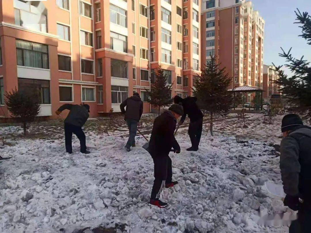 区积雪金林区物业管理处为楼区居民抽下水管道区人民法院送法到西林镇