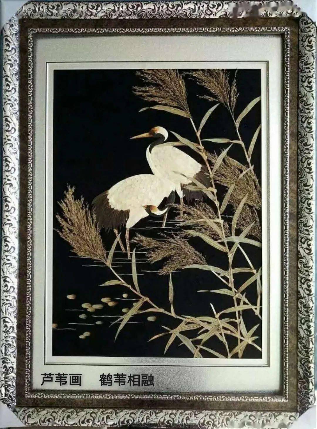 佳作欣赏李永福芦苇画作品